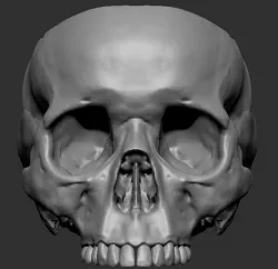 Skull pot