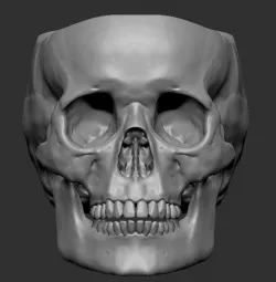 skull pot with drainage and hanging holes