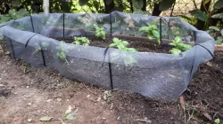 Slug Fence