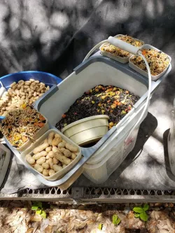 Square bucket double caddy, holds Arrow brand freezer containers