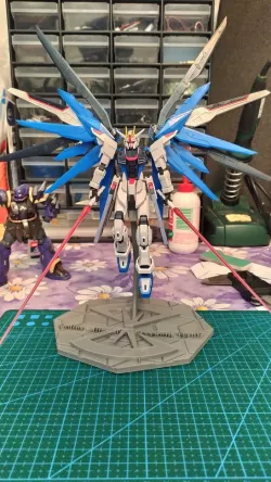stand gundam/gunpla HG/RG freedom gundam 