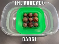 The Avocado Barge