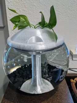 Aquaponic Fish Bowl