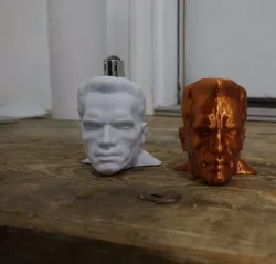 Arnold Schwarzenegger Lighter Case