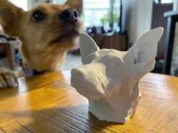 Chihuahua 3D Scan