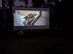 Collapsible Projector Screen
