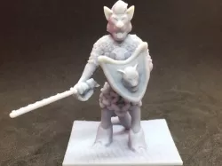 Dewey Krochboddum - Tabaxi Paladin 