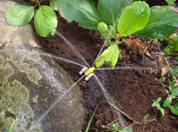 Garden Sprinkler