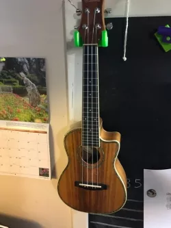 Guitar Hook