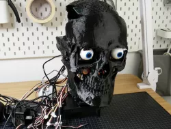 Humanoid Robot Skull