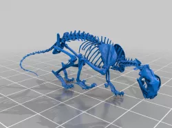 Mountain Lion Skeleton decimated and resized as a mini