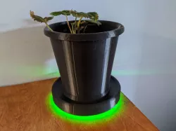 Pot de fleur - Flower pot