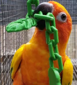 Small bird twist-in hanging chain toy with vine leaf charms