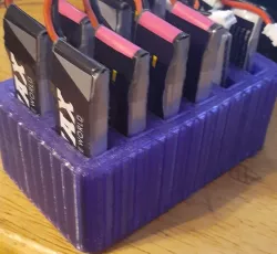 450 Mah 1S Lipo battery organizer tall
