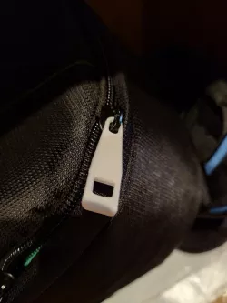 Buckle
