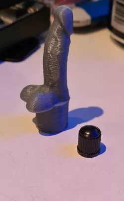 Car Valve cap p*nis 