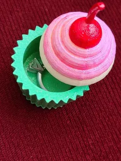 Cupcake Box