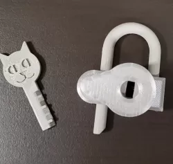 Disk Detainer Padlock