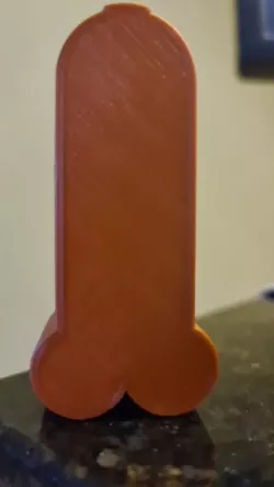 Ear Buds Case