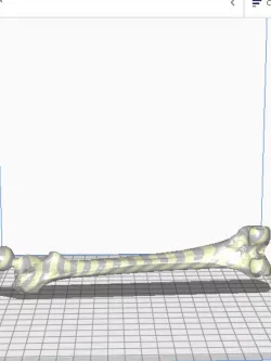 FEMUR 