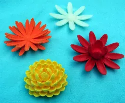 Flower Blossoms