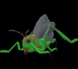 Giant Locust