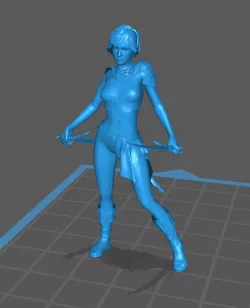 Human Rogue Female