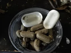 pill seed bomb press