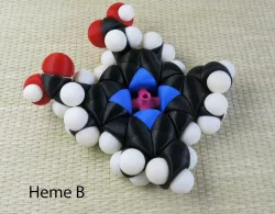 Space-filling molecular models: Transition Metal expansion pack