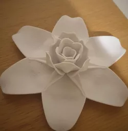 Table Rose