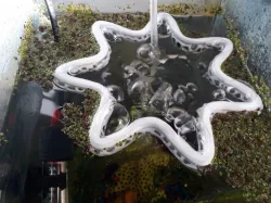 Wave breaker for aquarium