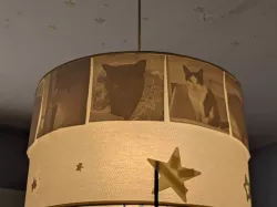 Cats Lithophane Lamp