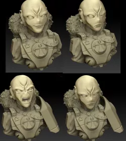 Commander Snowmane Bust and heads