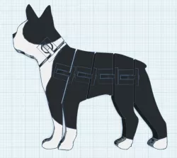 Flexi Boston Terrier