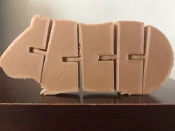 Flexi Guinea Pig