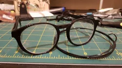 Laura's Glasses or Toro's Chew Toy 2020 V2