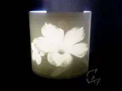 Lithophane Desert Rose