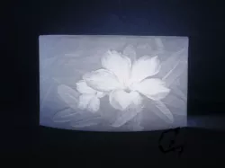 Lithophane Desert Rose v2