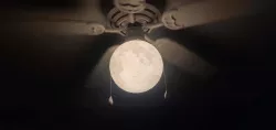 Moon Light Globe