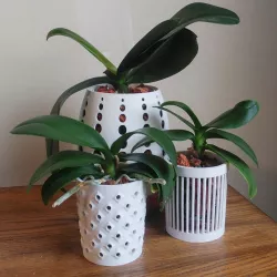 Orchid Pots