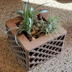 Star Spectrum Planter 2