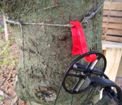 Tree Hanger, Tree Mount, Strap
