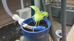 Vertical Hydroponics System