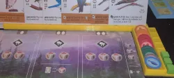 Wingspan Player Dashboard (The DashBird)