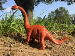 Apatosaurus