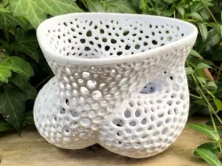 Boy's Bowl