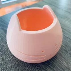 Cat Cactus Pot