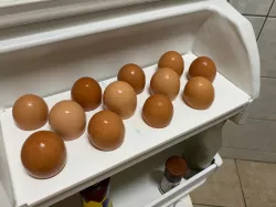 Egg Tray of Ｒefrigerator