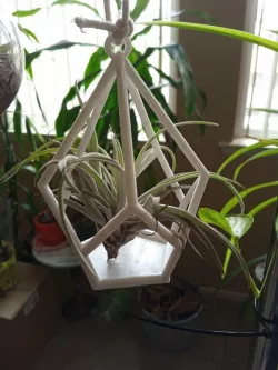 Geometric Plant Hanger