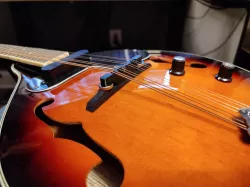 Mandolin bridge